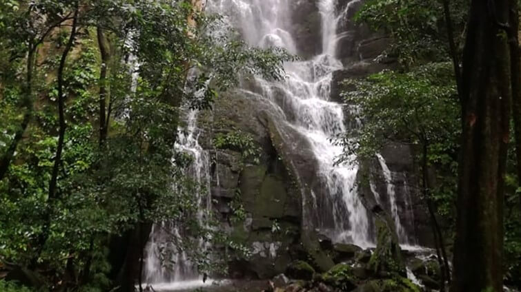 Rincon de la Vieja National Park Tour Costa Rica